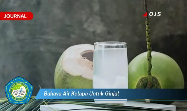 bahaya air kelapa untuk ginjal