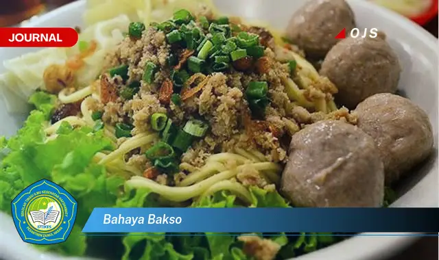 bahaya bakso