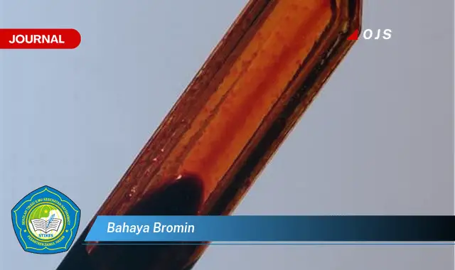 bahaya bromin