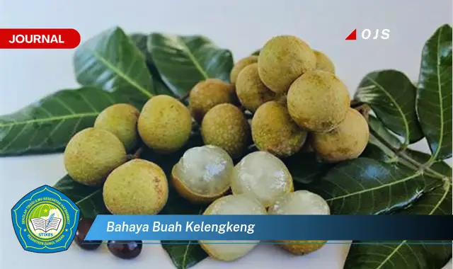 bahaya buah kelengkeng