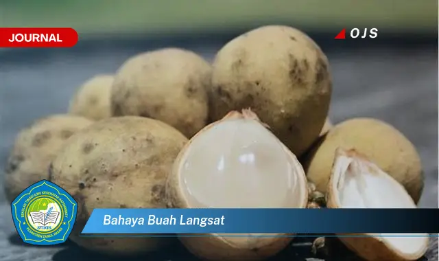 bahaya buah langsat
