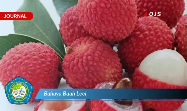 bahaya buah leci