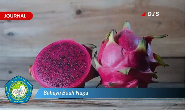 bahaya buah naga