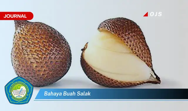 bahaya buah salak