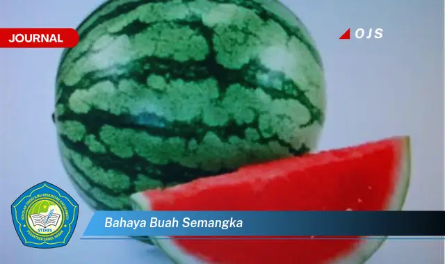 bahaya buah semangka