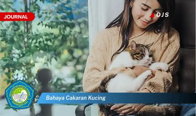 bahaya cakaran kucing