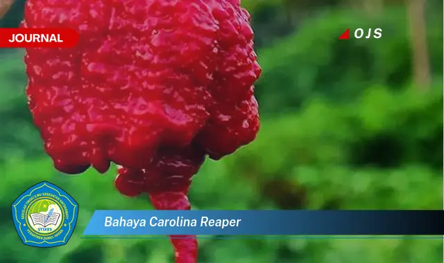 bahaya carolina reaper
