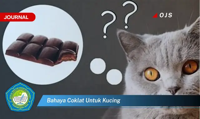 bahaya coklat untuk kucing