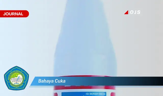 Intip 15 Bahaya Cuka yang Bikin Penasaran