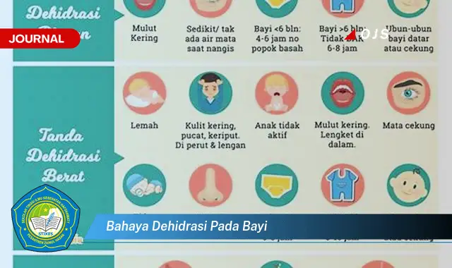 bahaya dehidrasi pada bayi