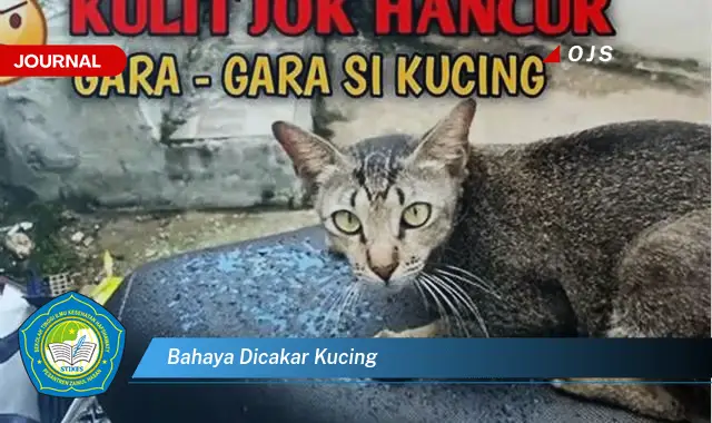 bahaya dicakar kucing