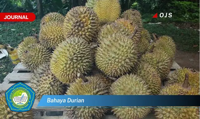 bahaya durian