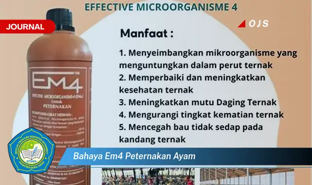 bahaya em4 peternakan ayam