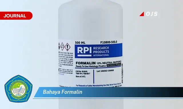 bahaya formalin bahaya formalin