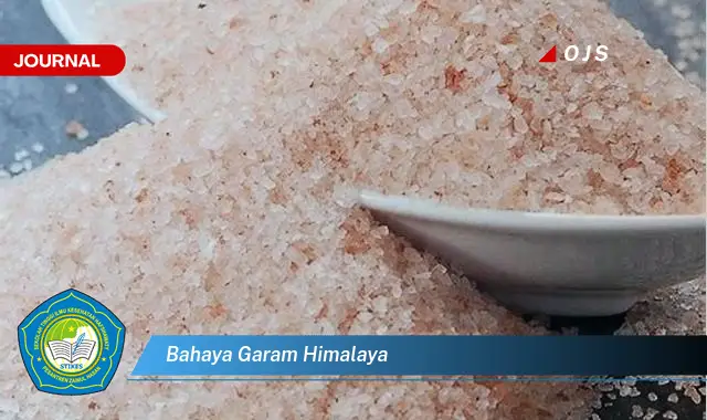 bahaya garam himalaya