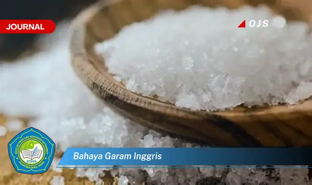 bahaya garam inggris
