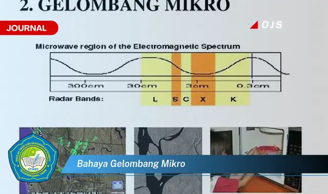 bahaya gelombang mikro