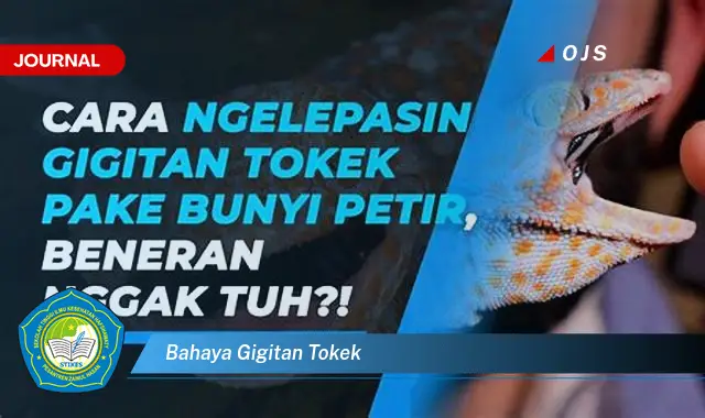 bahaya gigitan tokek bahaya gigitan tokek