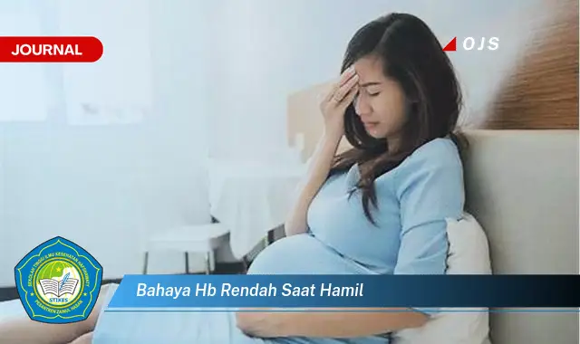 bahaya hb rendah saat hamil