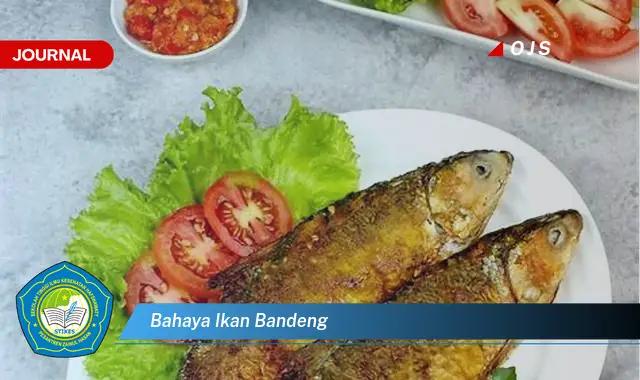 bahaya ikan bandeng