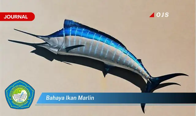 bahaya ikan marlin