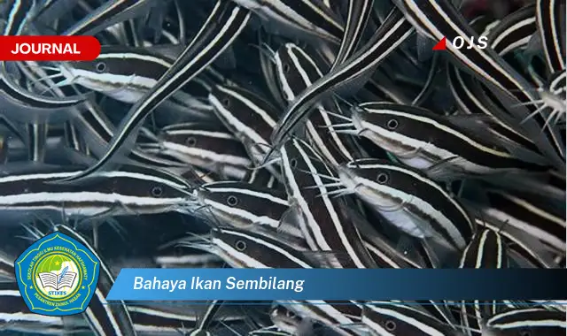 bahaya ikan sembilang