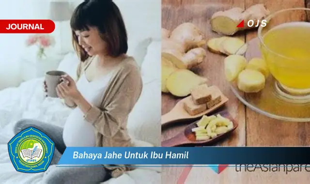 bahaya jahe untuk ibu hamil