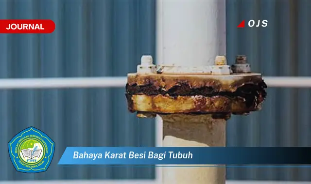 bahaya karat besi bagi tubuh