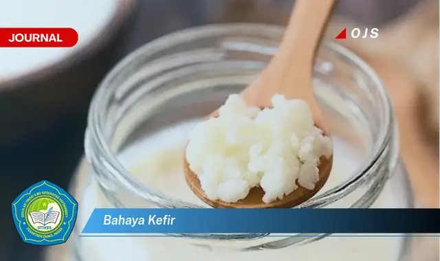 bahaya kefir