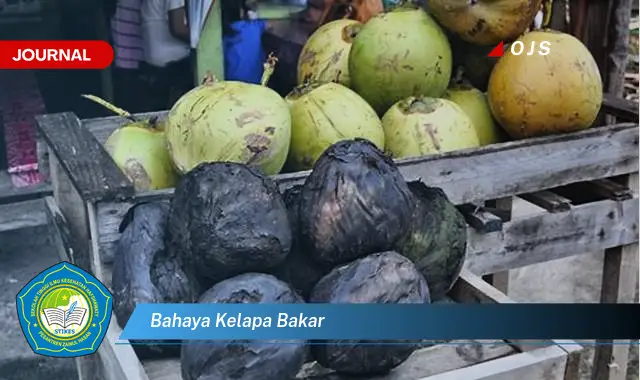 bahaya kelapa bakar