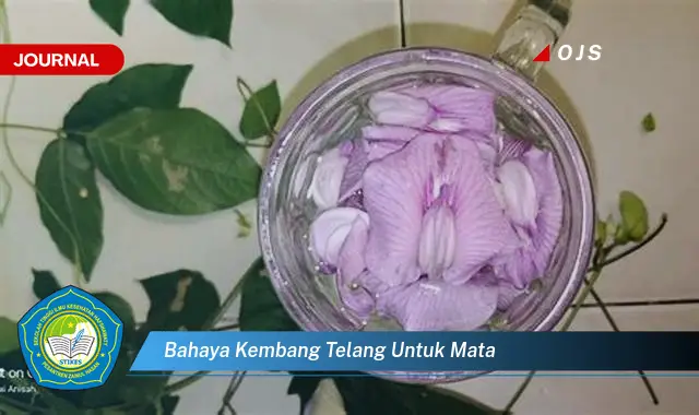 bahaya kembang telang untuk mata
