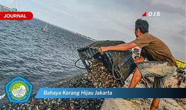 bahaya kerang hijau jakarta