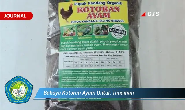 bahaya kotoran ayam untuk tanaman