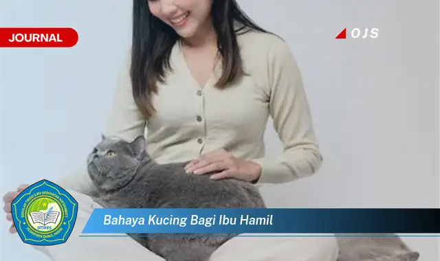 bahaya kucing bagi ibu hamil