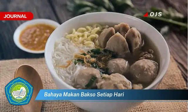 bahaya makan bakso setiap hari