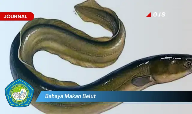 bahaya makan belut