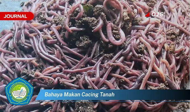 bahaya makan cacing tanah