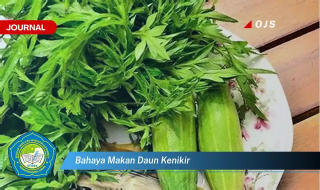 bahaya makan daun kenikir