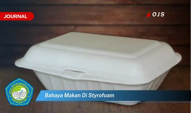 bahaya makan di styrofoam