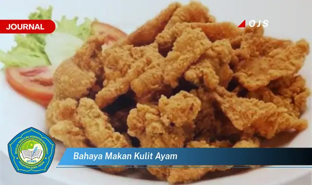 bahaya makan kulit ayam