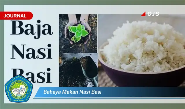 bahaya makan nasi basi