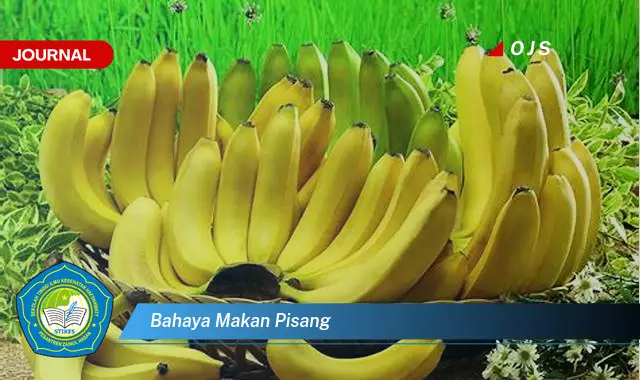 bahaya makan pisang