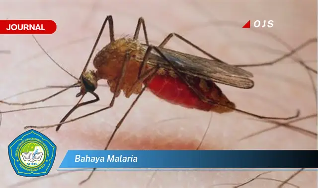 bahaya malaria