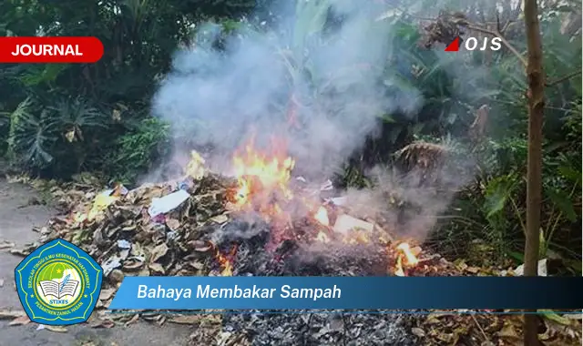 bahaya membakar sampah