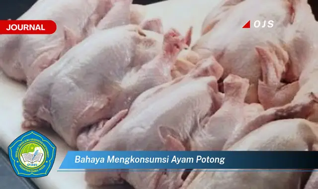 bahaya mengkonsumsi ayam potong bahaya mengkonsumsi ayam potong