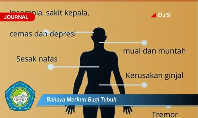 bahaya merkuri bagi tubuh