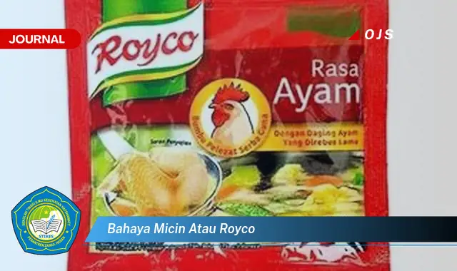 bahaya micin atau royco bahaya micin atau royco