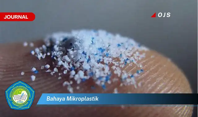 bahaya mikroplastik bahaya mikroplastik