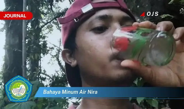 bahaya minum air nira