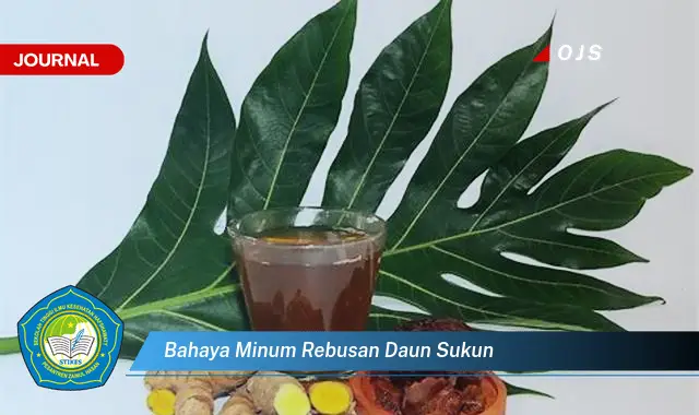 bahaya minum rebusan daun sukun